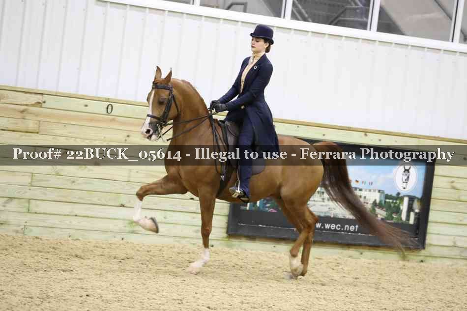 Proof 22BUCK_05614