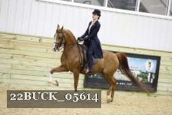 22BUCK_05614 proof