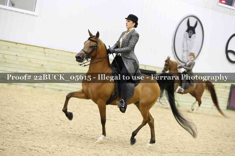 Proof 22BUCK_05615