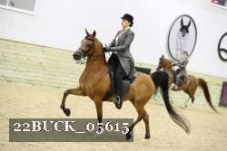22BUCK_05615 proof
