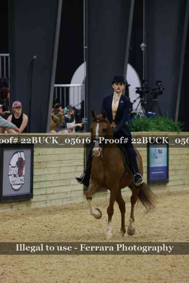 Proof 22BUCK_05616