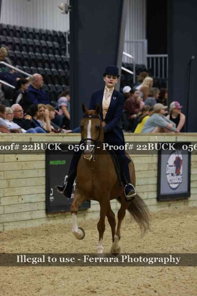 Proof 22BUCK_05617