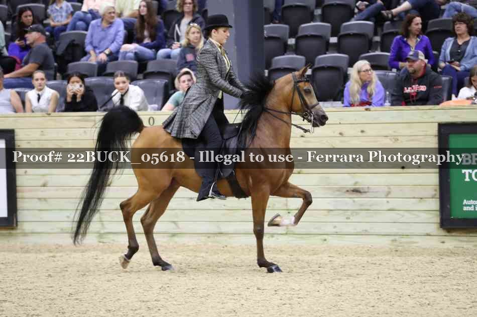 Proof 22BUCK_05618