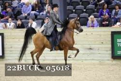 22BUCK_05618 proof