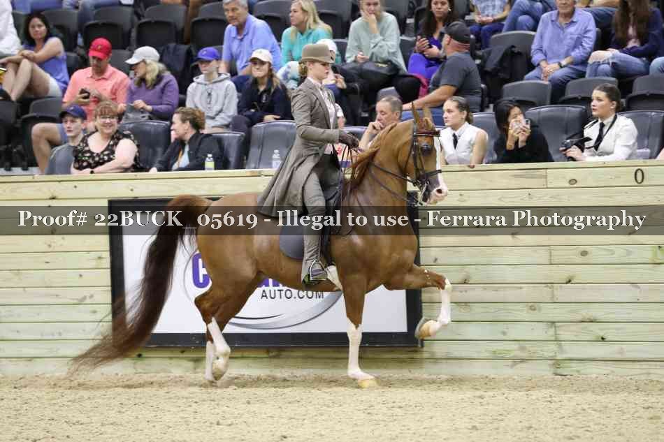 Proof 22BUCK_05619