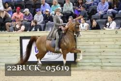 22BUCK_05619 proof