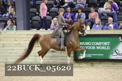 22BUCK_05620 proof