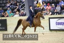 22BUCK_05622 proof