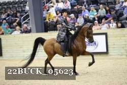 22BUCK_05623 proof