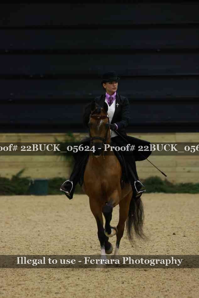 Proof 22BUCK_05624