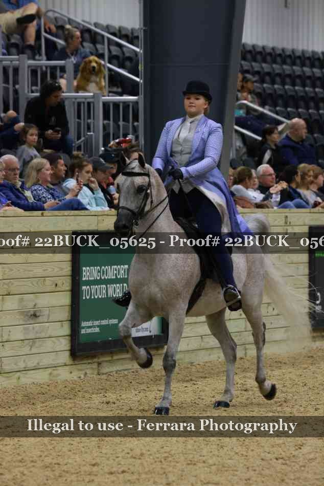 Proof 22BUCK_05625