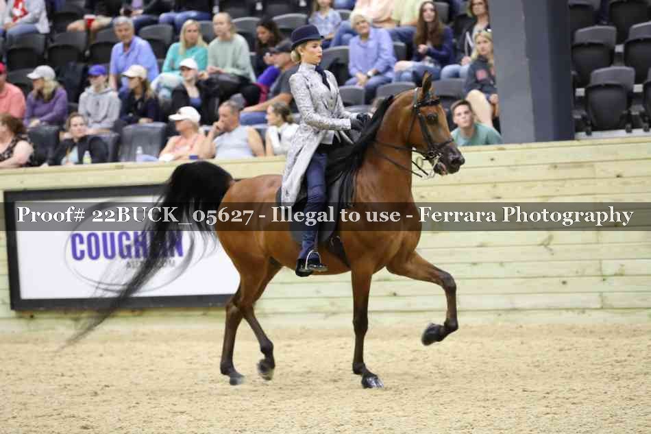 Proof 22BUCK_05627