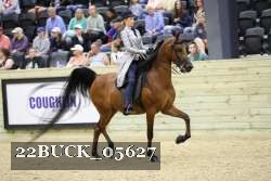 22BUCK_05627 proof