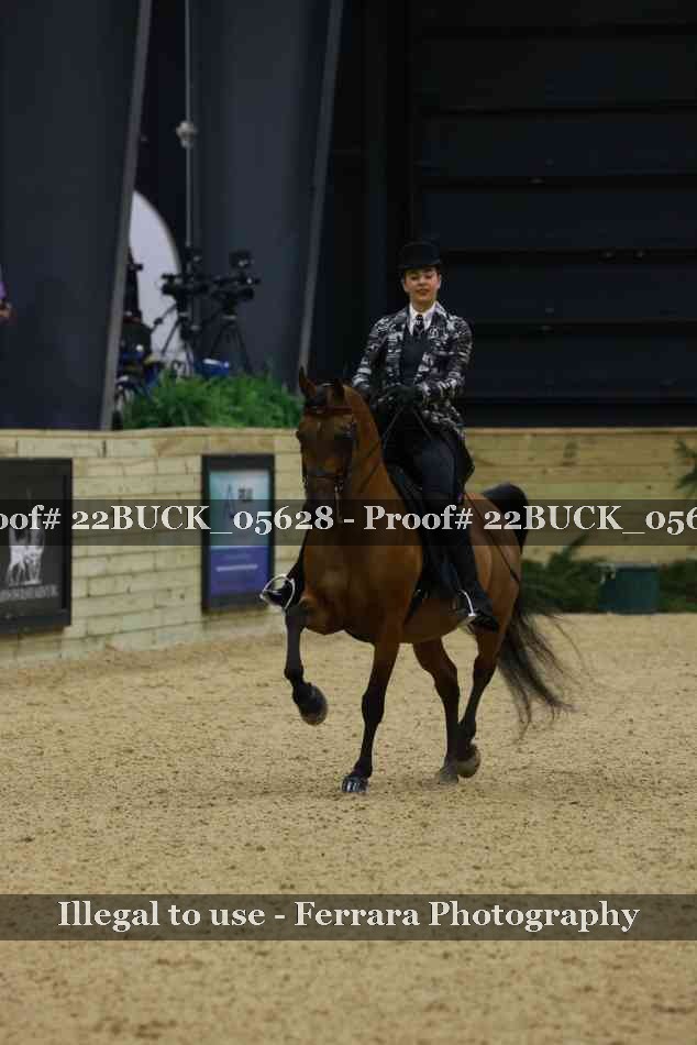 Proof 22BUCK_05628
