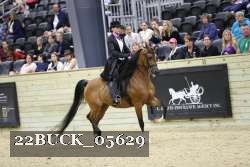 22BUCK_05629 proof