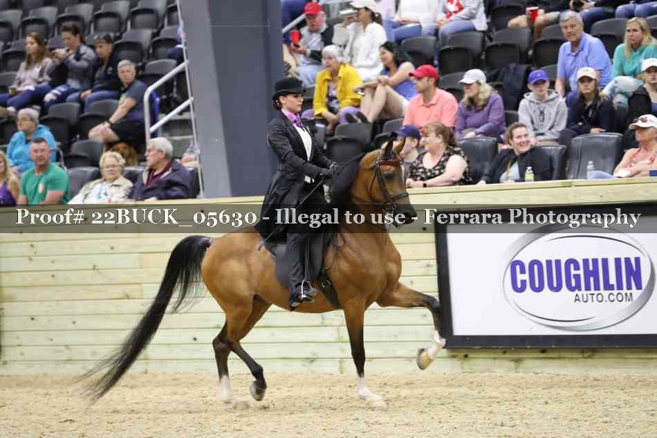 Proof 22BUCK_05630