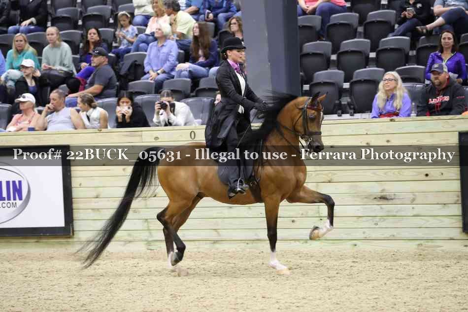Proof 22BUCK_05631