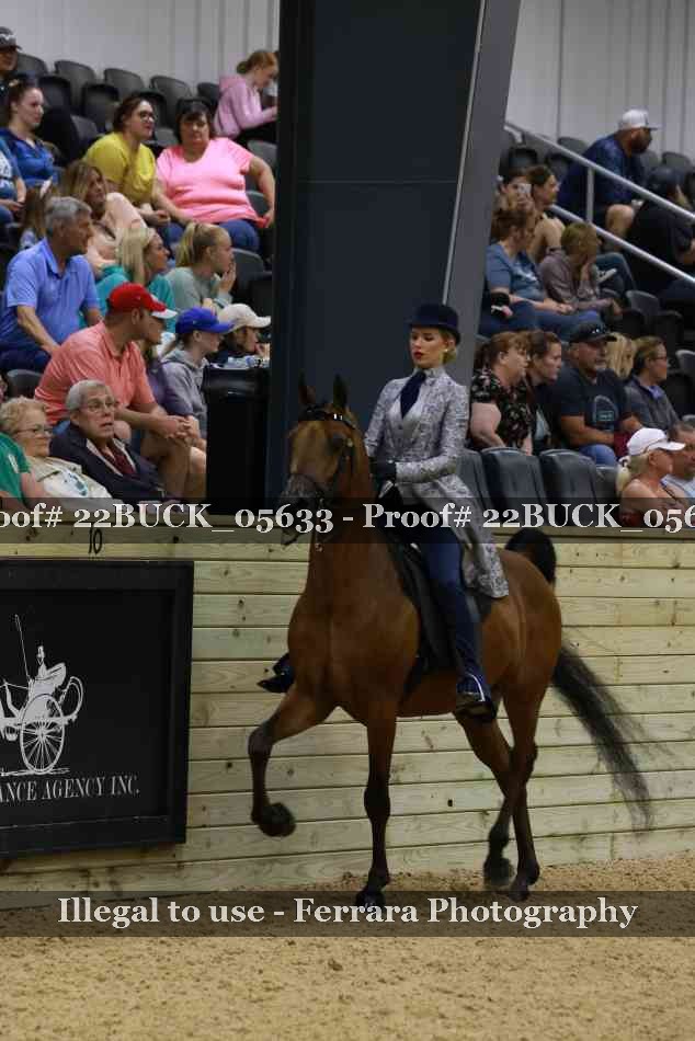 Proof 22BUCK_05633