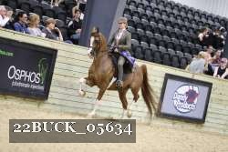 22BUCK_05634 proof