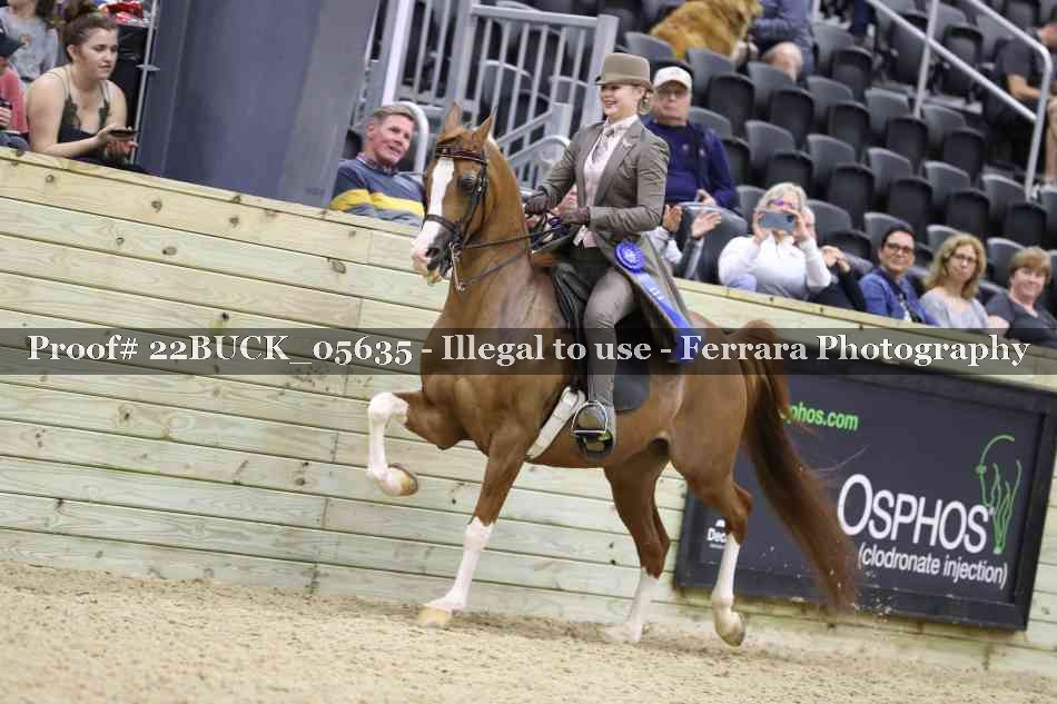Proof 22BUCK_05635