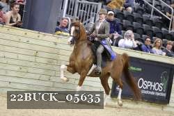 22BUCK_05635 proof