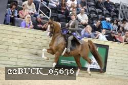 22BUCK_05636 proof