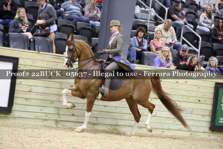 Proof 22BUCK_05637