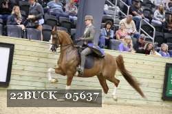 22BUCK_05637 proof