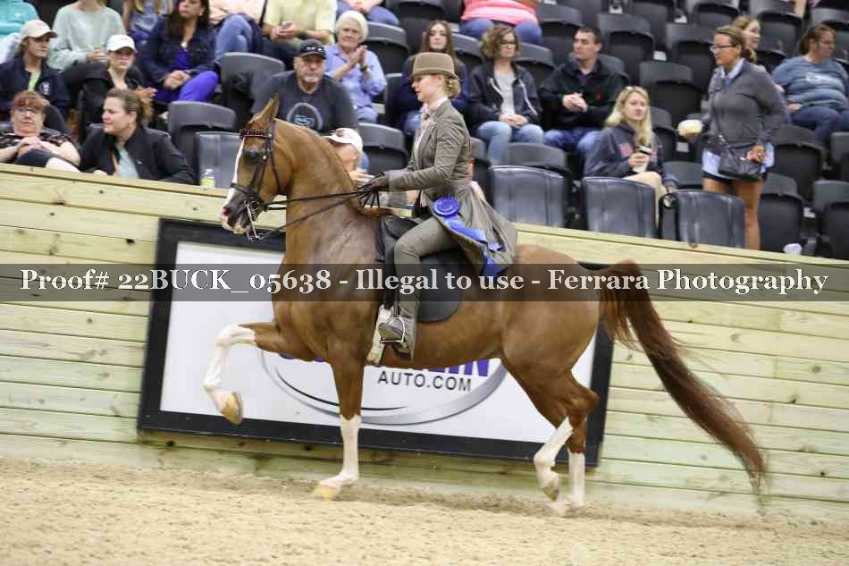 Proof 22BUCK_05638