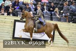 22BUCK_05638 proof