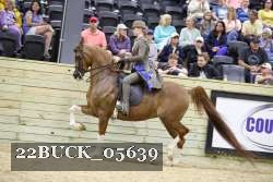 22BUCK_05639 proof