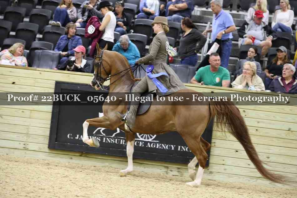 Proof 22BUCK_05640