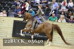22BUCK_05640 proof