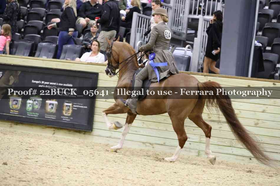 Proof 22BUCK_05641