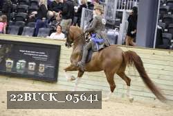 22BUCK_05641 proof