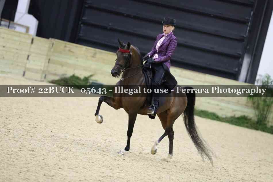Proof 22BUCK_05643