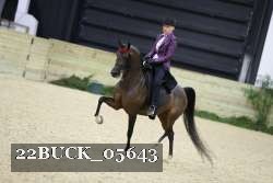 22BUCK_05643 proof