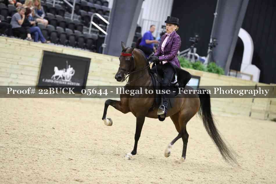 Proof 22BUCK_05644