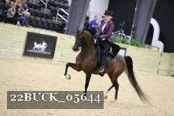 22BUCK_05644 proof