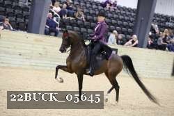 22BUCK_05645 proof