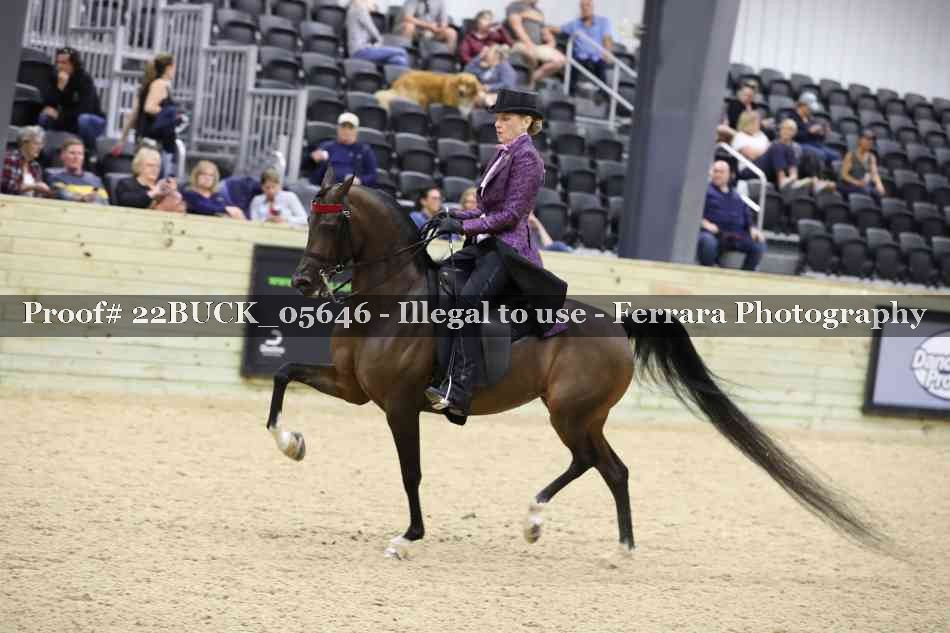 Proof 22BUCK_05646