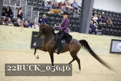 22BUCK_05646 proof
