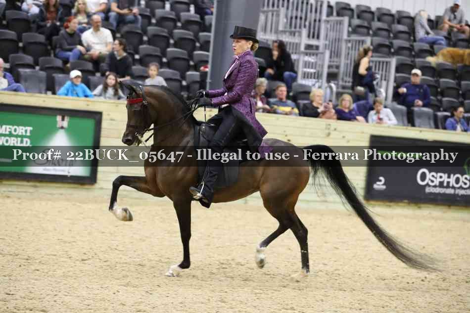 Proof 22BUCK_05647