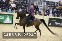22BUCK_05647 proof