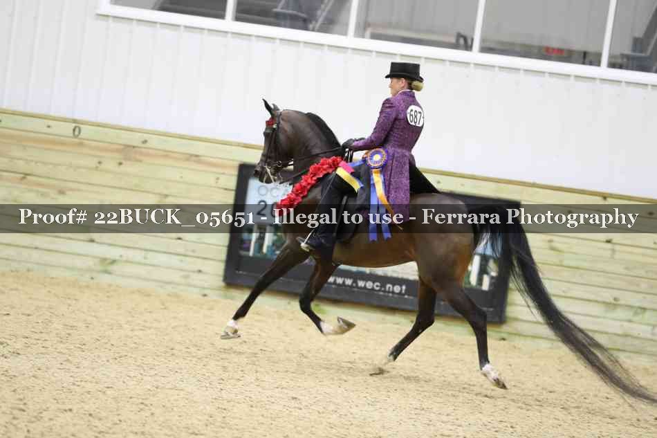 Proof 22BUCK_05651