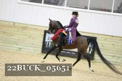 22BUCK_05651 proof