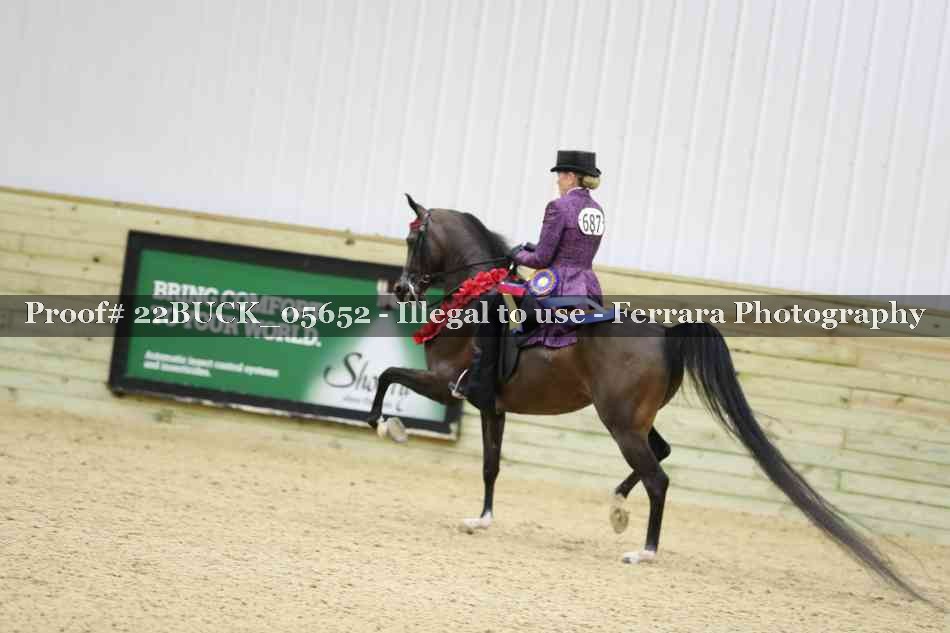 Proof 22BUCK_05652