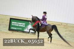 22BUCK_05652 proof