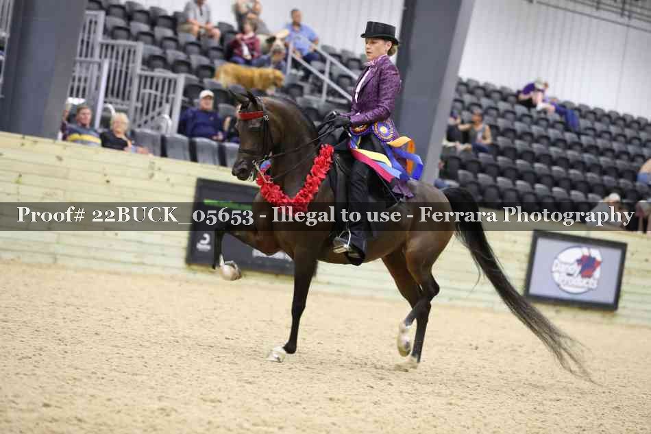 Proof 22BUCK_05653