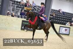 22BUCK_05653 proof